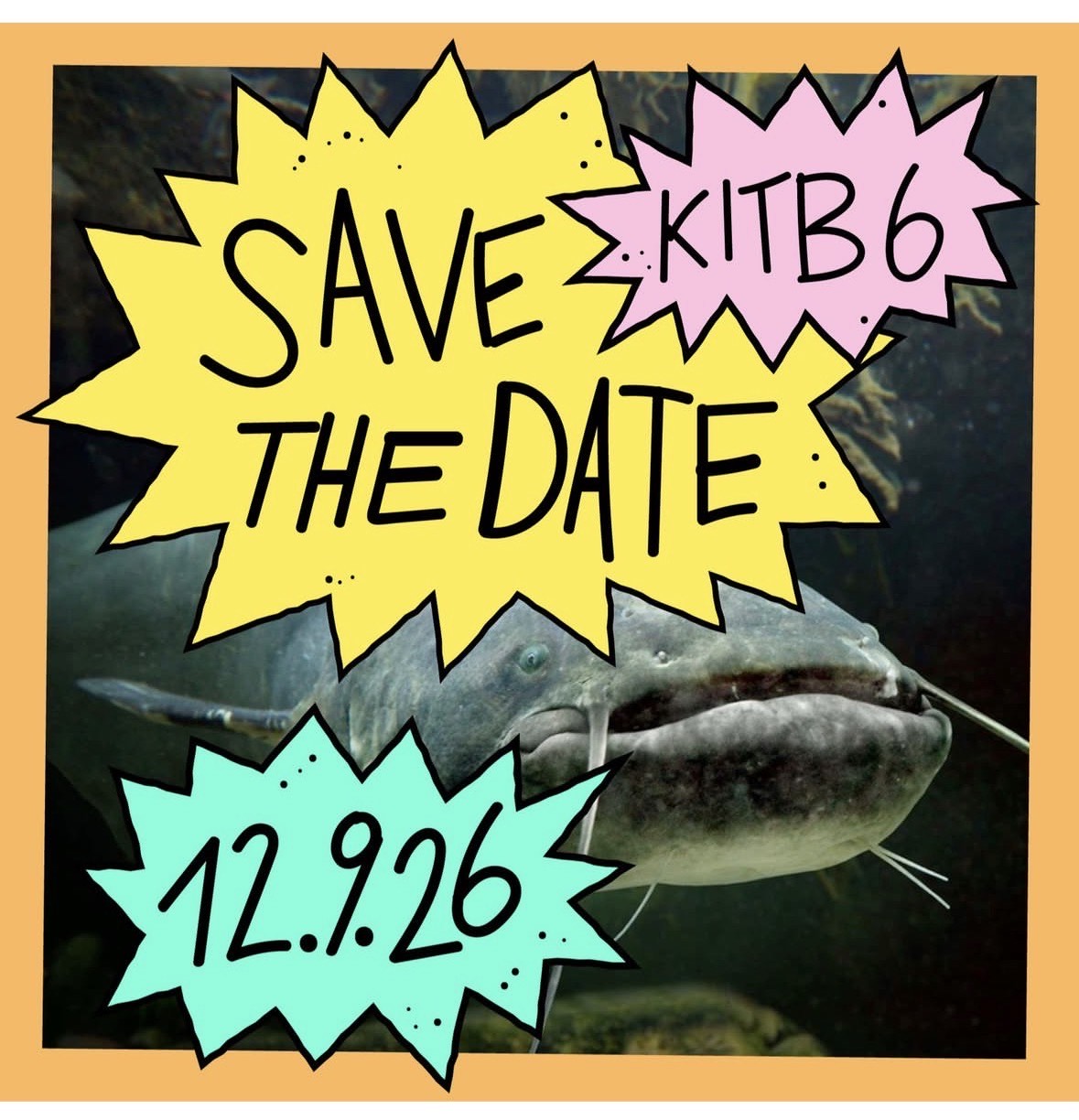 Kids in the backyard-Fest